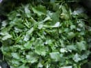 Cooking Class - Seasonal California Mexican Fusion: fresh cilantro