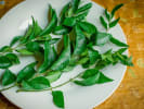 Cooking Class - Vegan and Gluten Free Indian in Brooklyn: fresh herbs