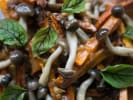 Cooking Class - Vegan and Vegetarian Corner in Solana Beach in La Jolla & Pacific Beach: Vegan Vegetarian Solana Beach Meatless