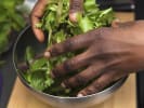 Cooking Class - Intro to Catalan Cuisine in Manhattan: mixing green salad