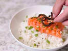 The Sushi Artist