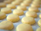 Cooking Class - Seasonal French Macarons in Downtown San Diego: vanilla macarons