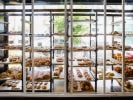 Food Tour - Discover River North in Downtown Chicago: doughnut shop