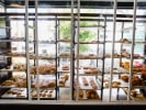Food Tour - Lower East Side: Past and Present in Manhattan: doughnut shop