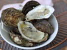 Cooking Class - Latin Seafood Forward Fare: Oysters