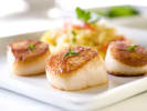 Cooking Class - Chef's Station - Date Night in Northern Suburbs: A seared scallop dish presented with garnish and sauce
