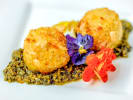 Private Chef - Michelin-Inspired Seasonal Tasting Menu: Arancini with pesto
