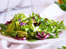 Team Building Cooking Class - Classic European Menu in Denver: Arugula and Radicchio Salad