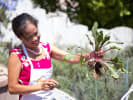 Cooking Class - Learn Thai Curry: Chef Maew in Garden