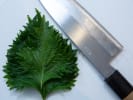 Cooking Class - Soba Noodles and Tempura in San Jose: Chef Motoko Knife