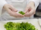 Cooking Class - Five-Star Vietnamese Fusion in Houston: Chef tearing green leaf lettuce