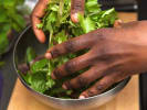 Team Building Cooking Class - French Culinary Foundations in The Bronx: Chef tossing spring mix greens
