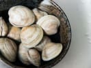 Cooking Class - New York-Style Surf and Turf in Manhattan: clams