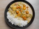 Cooking Class - Vegan Indian Comfort Food in Austin: Navratan Korma Over Basmati Rice