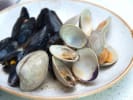 Cooking Class - Classic Paella Techniques in East Bay: mussels and clams