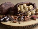 Cooking Class - Dark Chocolate Workshop: hazelnut praline crunch
