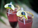 Cooking Class - Zero Proof Happy Hour in San Jose: Grape Margarita