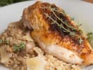 Team Building Cooking Class - Elegant Italian Dishes in Manhattan: Chicken Parmesan with mushroom risotto