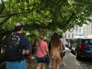 Food Tour - Central Park Picnic Tour in Manhattan: ChinatownFoodTour 7