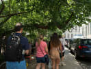 Food Tour - Chinatown's Best Kept Secrets: Chinatown Food Tour