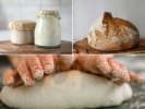 Cooking Class - Artisan Bread Making in San Fernando Valley: Cooking Class   Sourdough