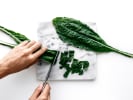 Cooking Class - Scratch-Made Italian Menu: Cutting kale