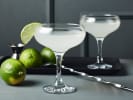Private Online Mixology Class for On-Site Team - Shaking Up Daiquiris & Palomas Together: Daiquiri with lime