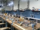 Team Building Cooking Class - Teamwork and Dumplings in Houston: Danjoy's Venue