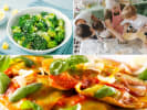 Cooking Class - Italian Pasta Night - Family Fun in Dallas: Family Fun  An Italian American Feast 3
