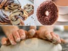 Cooking Class - Handmade French Brioche in Northern Suburbs: French Brioche Workshop lesson