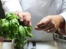 Cooking Class - Handmade Italian Pasta From Scratch in Portland, OR: Fresh Basil