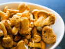 Cooking Class - The Spanish Table: Fresh chanterelle mushrooms