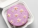 Online Cake Decorating Class - Bento Box Cake: Ibento caketalian Amaretti Cookies