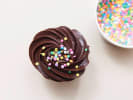 Baking Class - The Art of the Cupcake in Brooklyn: Cupcakes with chocolate frosting and sprinkles