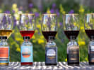 Virtual Wine Tasting - Small-Batch Wine Tasting: Kit and glasses