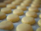 Baking Class - The Magic of Macarons: Macarons
