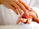 Cooking Class - Crafting Dishes of Naples: Making meatballs