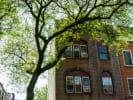Food Tour - Brownstone Brooklyn's Best Bites in Manhattan: brownstones in brooklyn