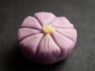 Team Building Cooking Class - Sculpt Japanese Sweets as a Team: Nerikiri (2)