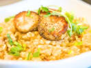 Private Chef - Exquisite Italian Feast: Pan Seared Scallops Over Risotto Alla Milanese