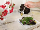 Date Night Cooking Class - Paleo Dinner for 2: Preparing butter lettuce salad