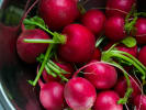 Cooking Class - Salad Arts in Denver: Radishes in a silver bowl
