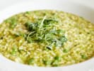 Cooking Class - Perfectly Rustic Italian Cuisine in Manhattan: Risotto with Sweet Peas and Parmesan