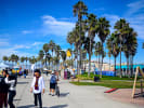 Private Food Tour - Venice Beach Culinary Specialties in South Bay Los Angeles: Venice Beach palm trees