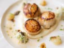 Private Chef - Seafood Extravaganza: Seared Scallops
