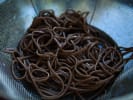 Cooking Class - Japanese Home-Style Noodles for 2 in Downtown Seattle: Soba noodles being draining
