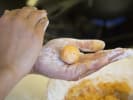 Cooking Class - Indonesian Beef Curry in San Francisco: Sweet Potato Boba Making