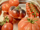 Cooking Class - Classic Italian Cuisine in Pasadena, CA: various variety of tomatoes