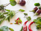 Cooking Class - Intro to Thai Cooking: Thai Cooking