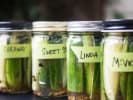 Cooking Class - The Art of Pickling in San Francisco: The Art of Pickling